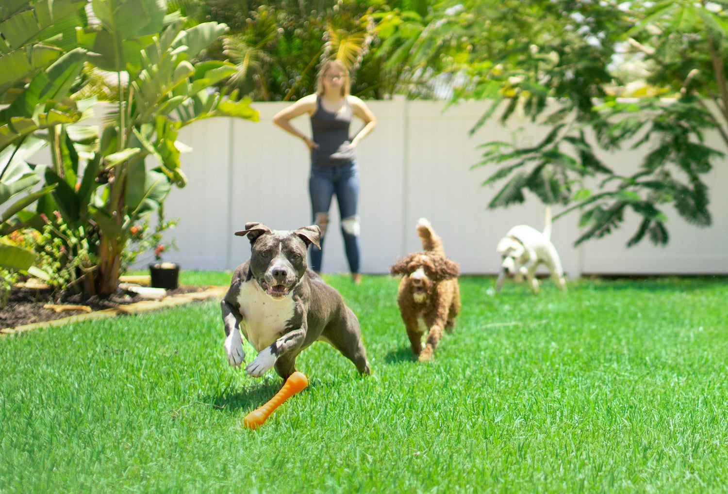 odor fresh turf cleaner, synthetic turf cleaner, artificial grass cleaner, pet odor eliminator, turf deodorizer, outdoor odor remover, enzyme turf cleaner, peroxide turf cleaner, turf smell remover, dog urine remover, clean rocks, clean pavers, clean concrete, clean tile, clean brick, clean artificial grass, animal bedding cleaner, house siding cleaner, yard deodorizer, outdoor surface cleaner, remove dog urine smell, eliminate turf odor, pet urine cleaner, deodorize outdoor area, fresh yard smell, odor rem